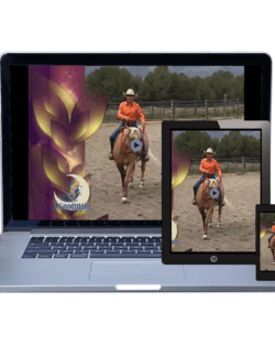 Goodnight's Principles of Riding 5: Refinement & Collection (Streaming)