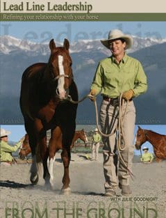 Lead Line Leadership DVD Cover