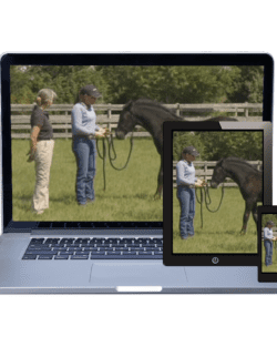 Raised with Manners (Streaming)