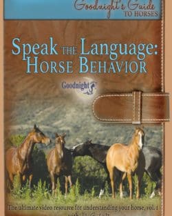 Speak the Language: Horse Behavior