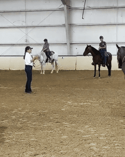 Julie teaching a clinic