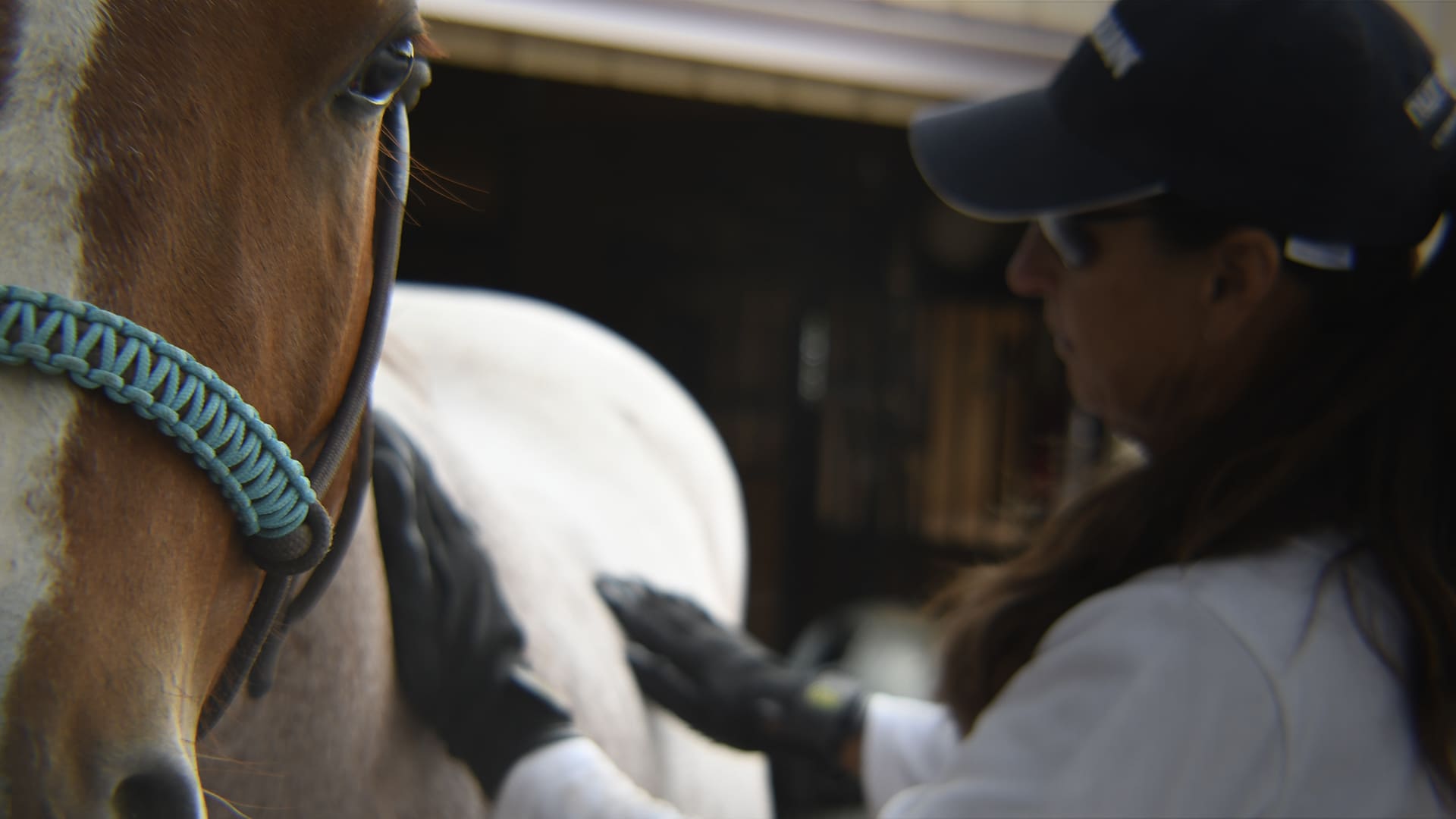 Julie and her new horse, Pepper (in his chocolate Premium rope halter with teal noseband) and grooming him with her HandsOn Grooming Gloves.