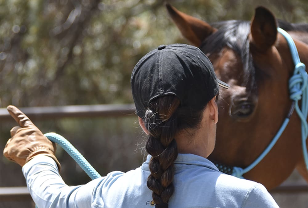 Spring Training: Get Ready to Ride