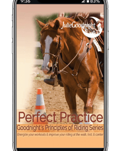 Perfect Practice Arena Guide (Digital)