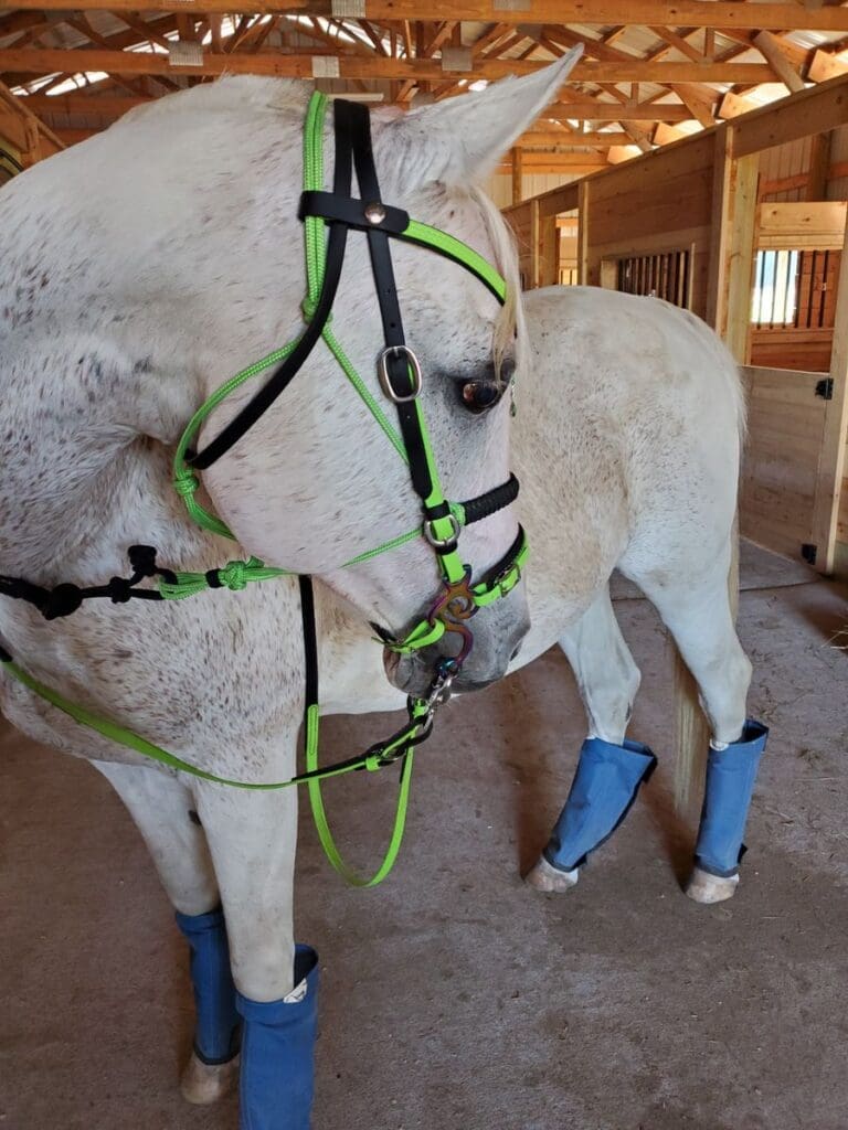 Image #1 from Molly F.