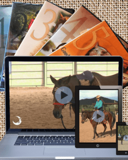 Video covers behind a laptop, tablet, and smartphone