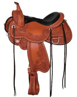 Monarch Arena & Trail Saddle