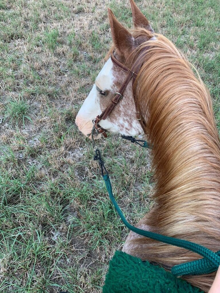 Image #1 from Ashley