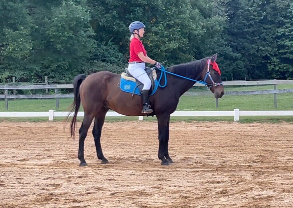 Image #1 from Marti Thompson