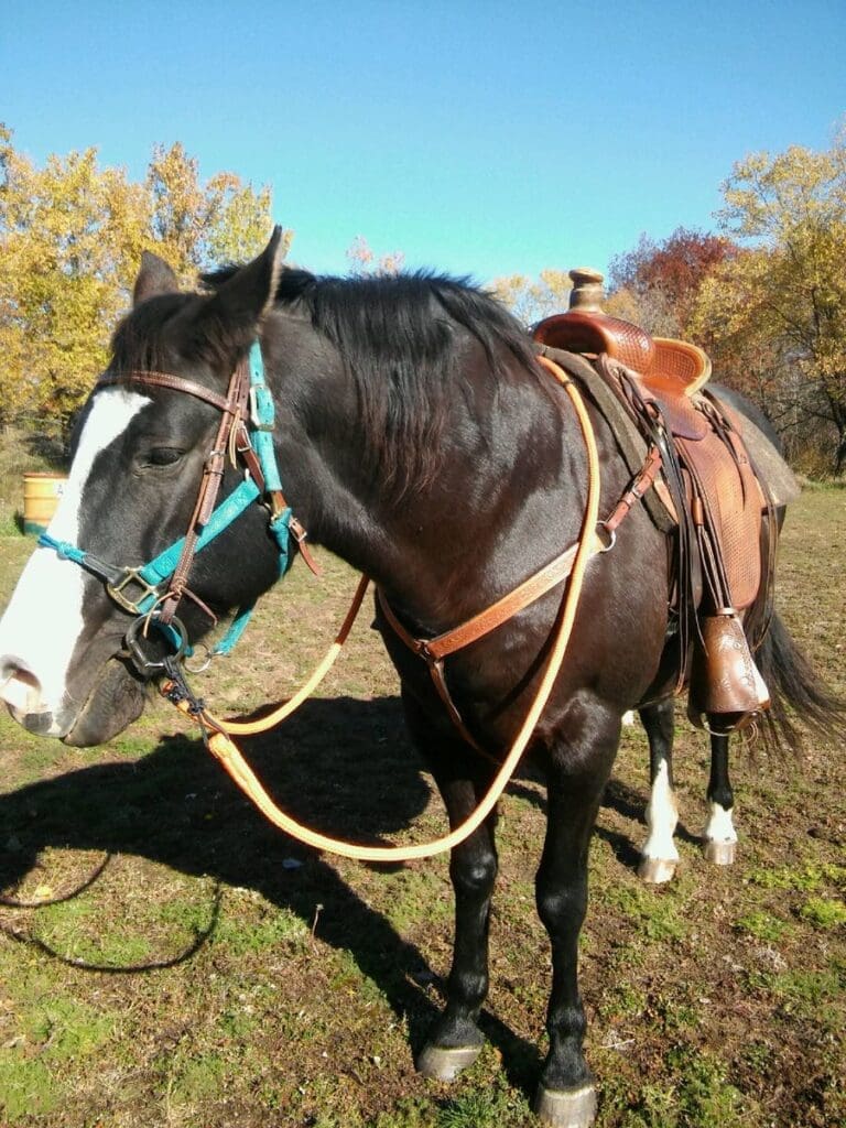 Image #1 from Katherine Lichy