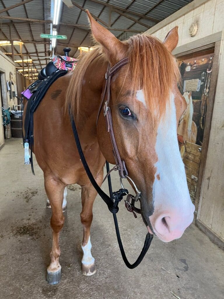 Image #1 from Roxanne