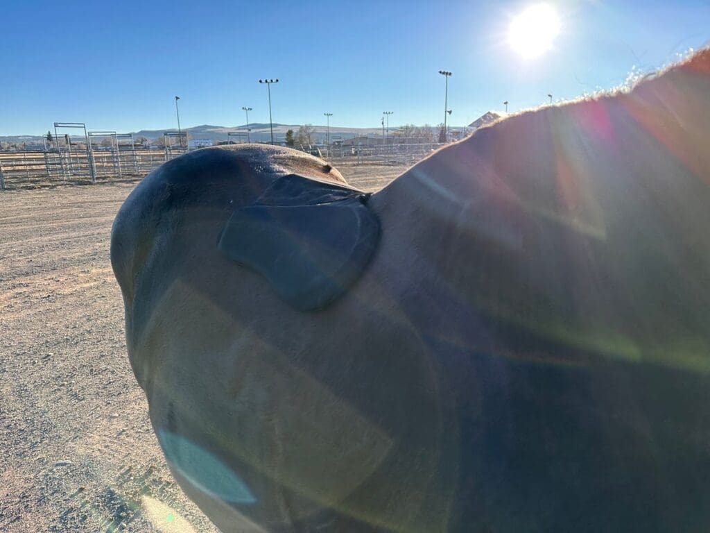 Image #1 from Amber Hatch