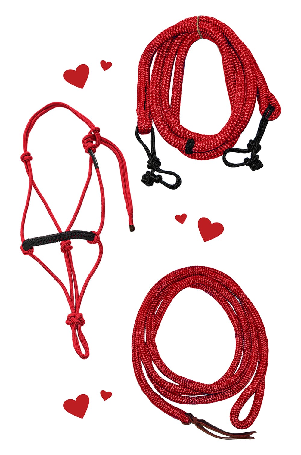 How to Attach a Rope Halter & Lead Julie Goodnight Shop