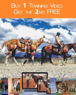 Buy One Training Video and Get the Second Free!