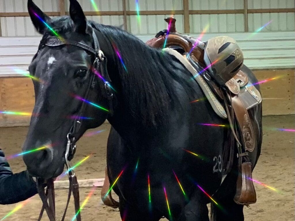 Image #1 from Sharon L.