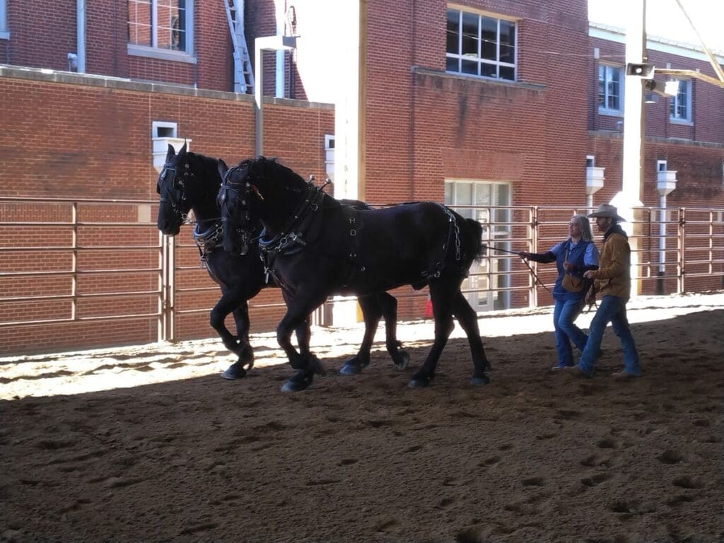 Image #1 from Angelia Sapp