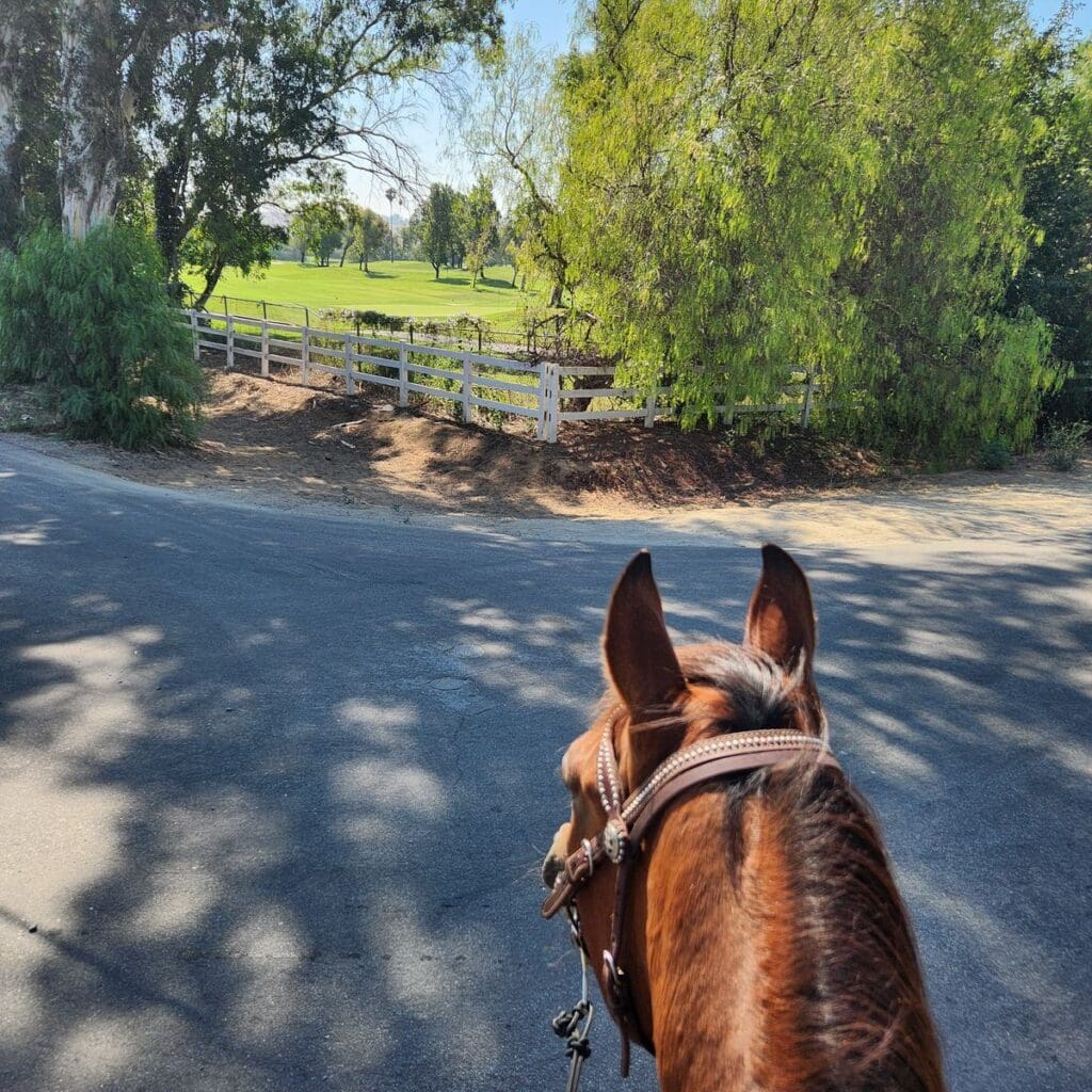 Image #1 from Denise L.